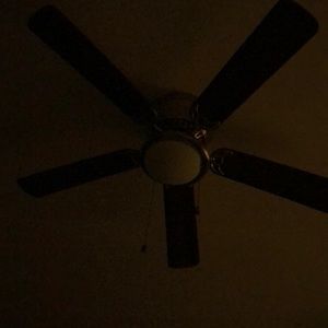 Meet your Posher, Esther